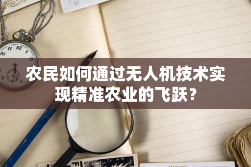 农民如何通过无人机技术实现精准农业的飞跃？