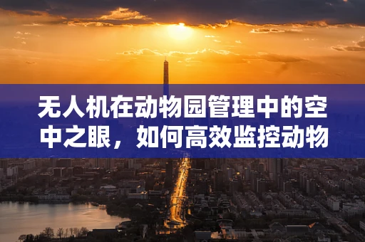 无人机在动物园管理中的空中之眼，如何高效监控动物行为？