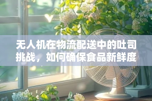 无人机在物流配送中的吐司挑战，如何确保食品新鲜度？