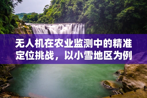 无人机在农业监测中的精准定位挑战，以小雪地区为例