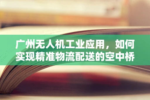 广州无人机工业应用，如何实现精准物流配送的空中桥梁？