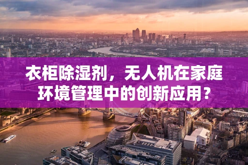 衣柜除湿剂，无人机在家庭环境管理中的创新应用？