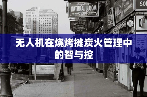 无人机在烧烤摊炭火管理中的智与控