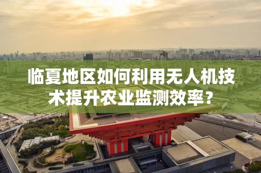临夏地区如何利用无人机技术提升农业监测效率？