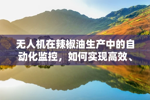 无人机在辣椒油生产中的自动化监控，如何实现高效、精准的喷洒？