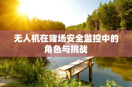 无人机在赌场安全监控中的角色与挑战