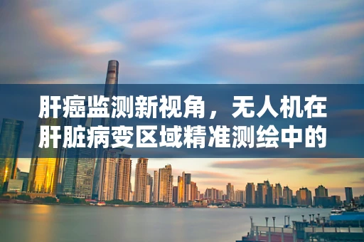肝癌监测新视角，无人机在肝脏病变区域精准测绘中的应用挑战