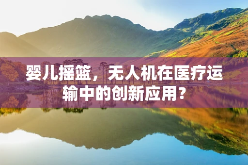 婴儿摇篮，无人机在医疗运输中的创新应用？