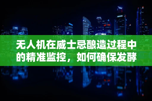 无人机在威士忌酿造过程中的精准监控，如何确保发酵环节的完美无缺？