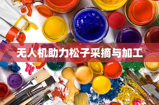 无人机助力松子采摘与加工