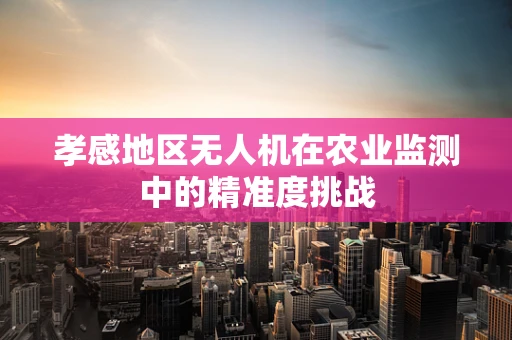 孝感地区无人机在农业监测中的精准度挑战