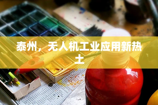泰州，无人机工业应用新热土