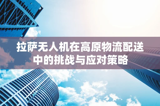 拉萨无人机在高原物流配送中的挑战与应对策略