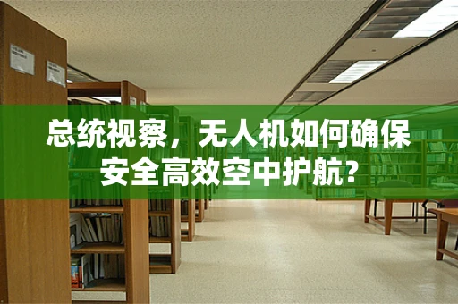 总统视察，无人机如何确保安全高效空中护航？