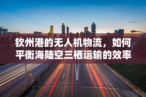 钦州港的无人机物流，如何平衡海陆空三栖运输的效率与成本？