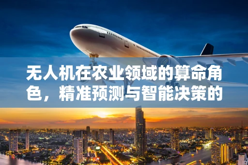 无人机在农业领域的算命角色，精准预测与智能决策的未来