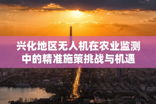 兴化地区无人机在农业监测中的精准施策挑战与机遇