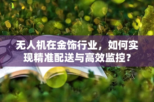 无人机在金饰行业，如何实现精准配送与高效监控？