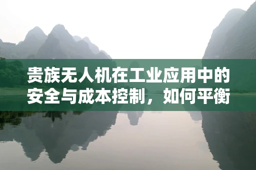 贵族无人机在工业应用中的安全与成本控制，如何平衡？