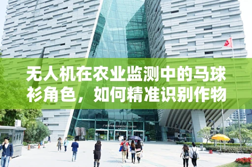 无人机在农业监测中的马球衫角色，如何精准识别作物健康？