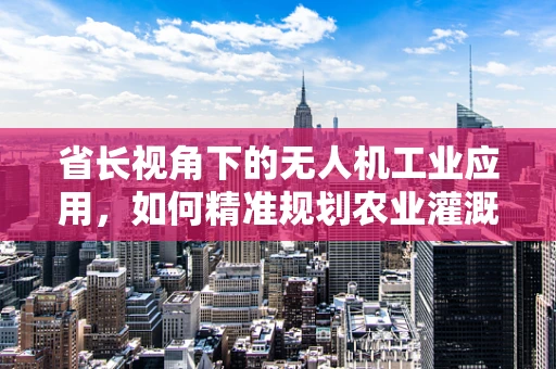 省长视角下的无人机工业应用，如何精准规划农业灌溉？