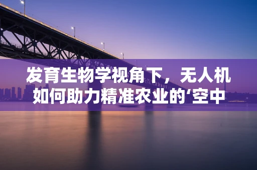 发育生物学视角下，无人机如何助力精准农业的‘空中实验室’？