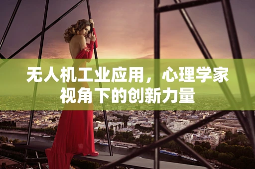 无人机工业应用，心理学家视角下的创新力量