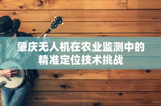 肇庆无人机在农业监测中的精准定位技术挑战