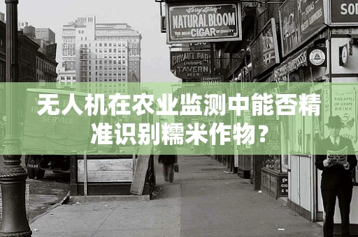 无人机在农业监测中能否精准识别糯米作物？