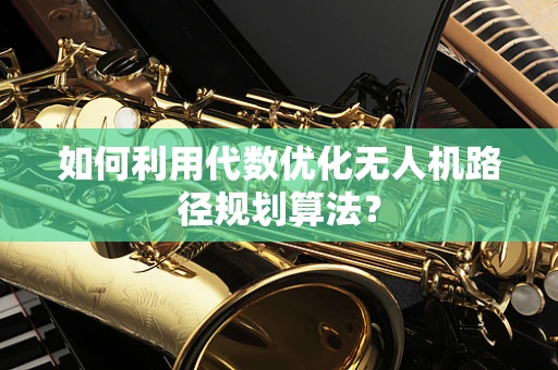 如何利用代数优化无人机路径规划算法？