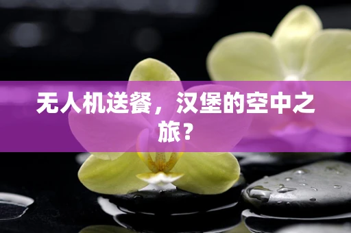无人机送餐，汉堡的空中之旅？
