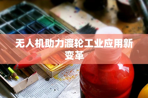无人机助力渡轮工业应用新变革
