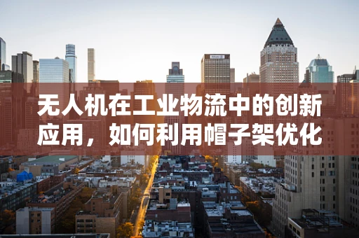 无人机在工业物流中的创新应用，如何利用帽子架优化仓储管理？