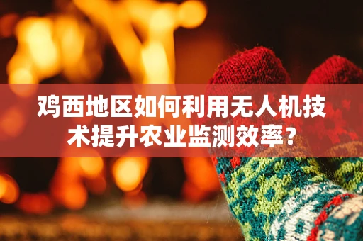 鸡西地区如何利用无人机技术提升农业监测效率？