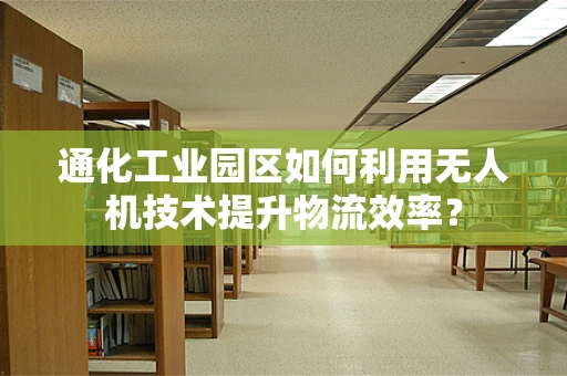 通化工业园区如何利用无人机技术提升物流效率？