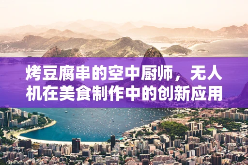 烤豆腐串的空中厨师，无人机在美食制作中的创新应用？