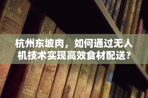 杭州东坡肉，如何通过无人机技术实现高效食材配送？