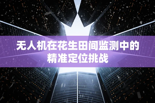 无人机在花生田间监测中的精准定位挑战