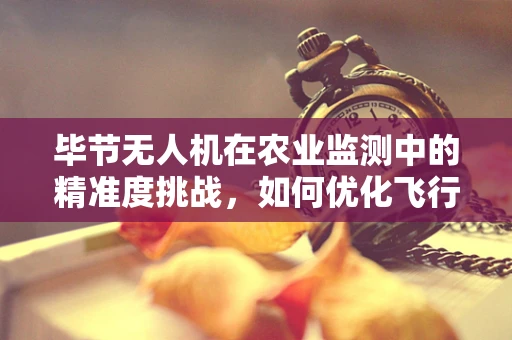 毕节无人机在农业监测中的精准度挑战，如何优化飞行路径以提升数据采集效率？