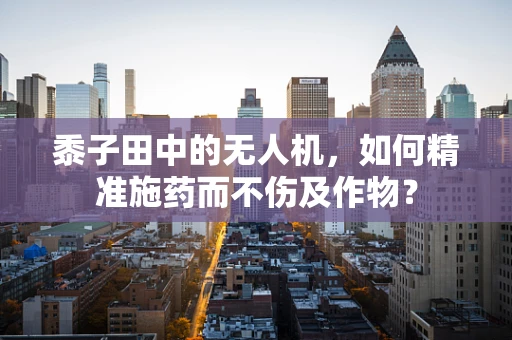 黍子田中的无人机，如何精准施药而不伤及作物？