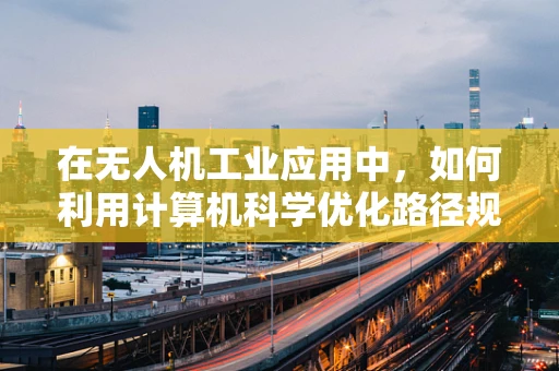 在无人机工业应用中，如何利用计算机科学优化路径规划算法？