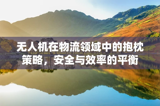 无人机在物流领域中的抱枕策略，安全与效率的平衡