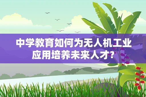 中学教育如何为无人机工业应用培养未来人才？