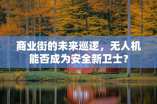 商业街的未来巡逻，无人机能否成为安全新卫士？