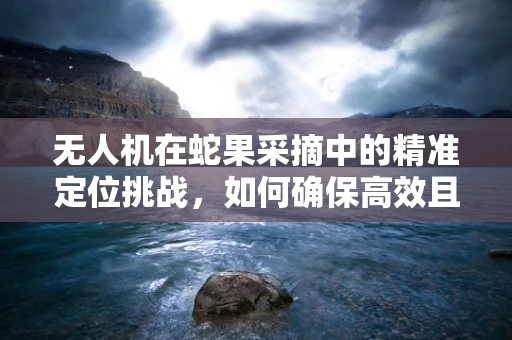 无人机在蛇果采摘中的精准定位挑战，如何确保高效且无损的果实收集？