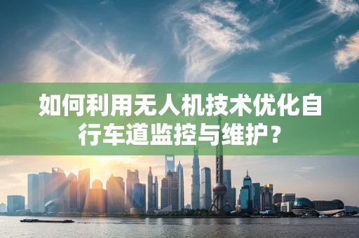 如何利用无人机技术优化自行车道监控与维护？