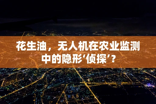 花生油，无人机在农业监测中的隐形‘侦探’？
