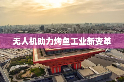 无人机助力烤鱼工业新变革
