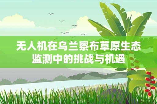 无人机在乌兰察布草原生态监测中的挑战与机遇