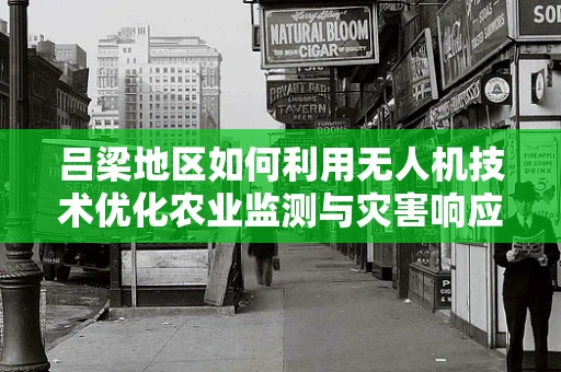 吕梁地区如何利用无人机技术优化农业监测与灾害响应？